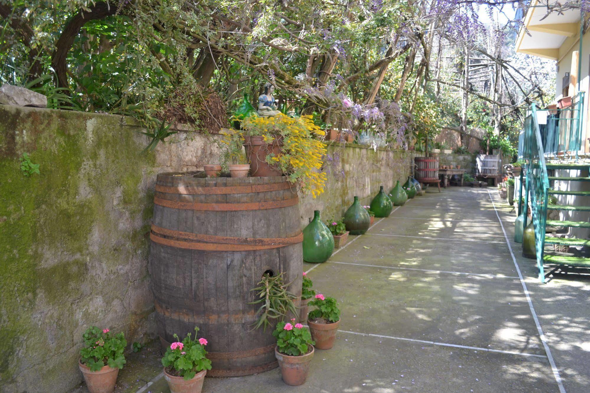 Sorrento Experience Bed and Breakfast Exterior foto